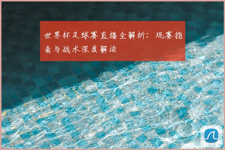 世界杯足球赛直播全解析:观赛指南与战术深度解读