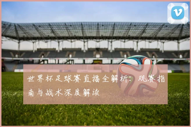 世界杯足球赛直播全解析：观赛指南与战术深度解读